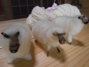 羊毛体験