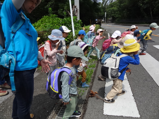 横断歩道