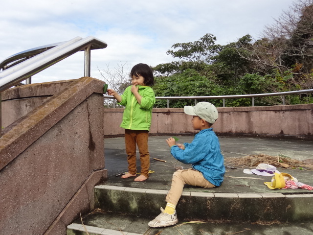 魚屋さん