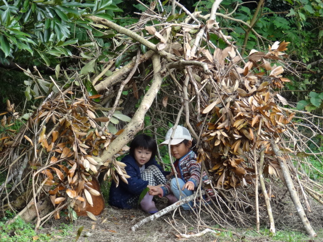 木のお家