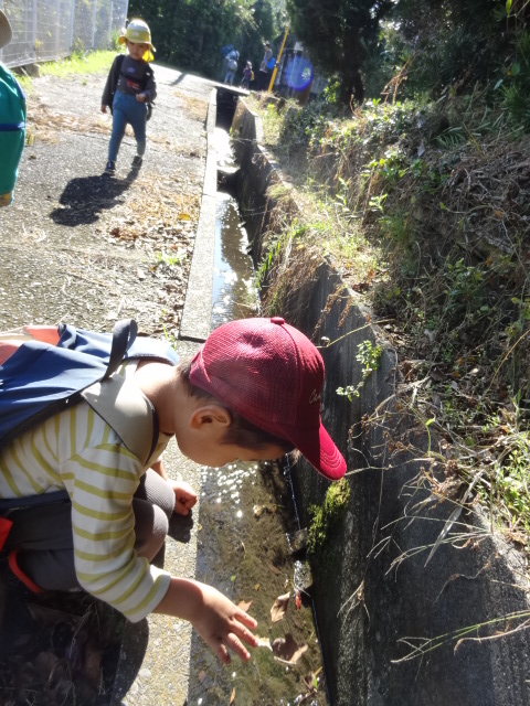 水がキラキラ