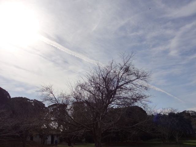 飛行機雲