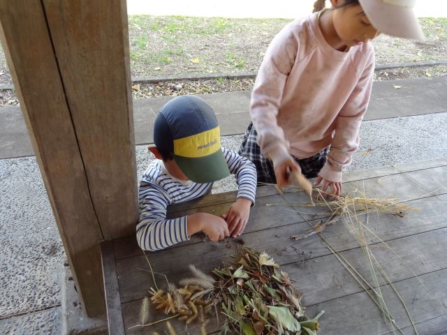 カマキリの卵のお家