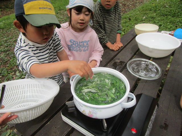ヨモギ 茹でる