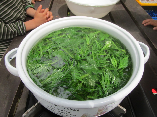 ヨモギを茹でる