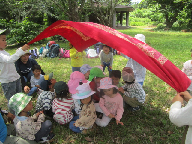 うえからしたから