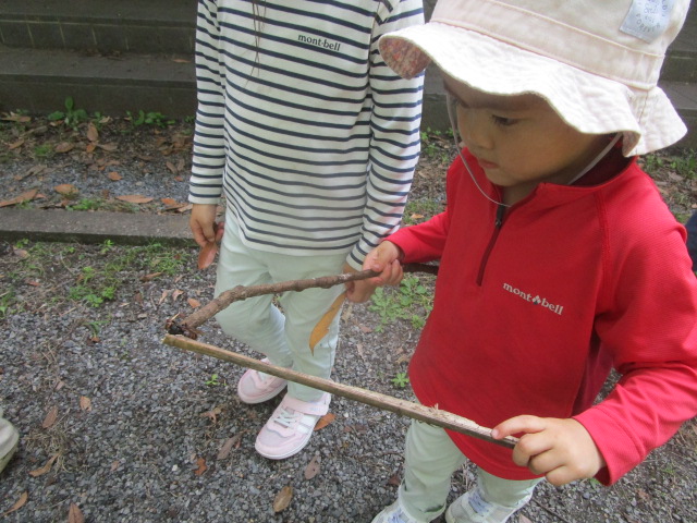 森に返す