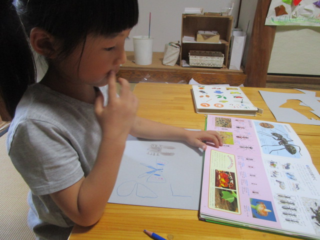 街作り 森