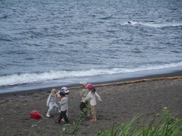 タイマイ浜
