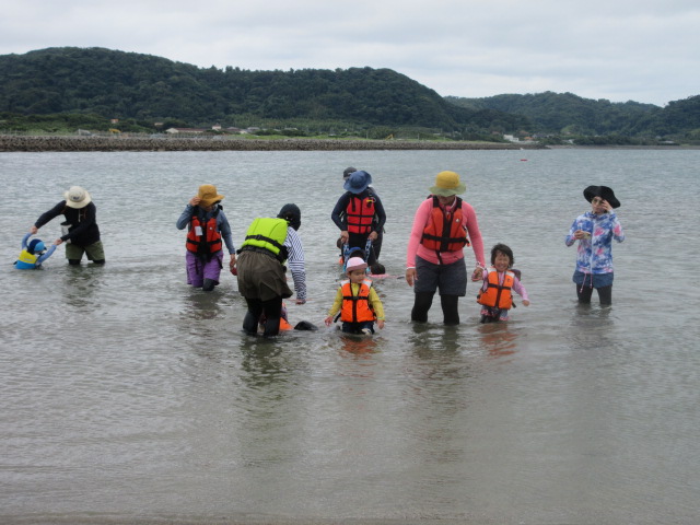 海