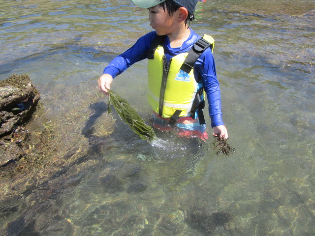 魚見つけた
