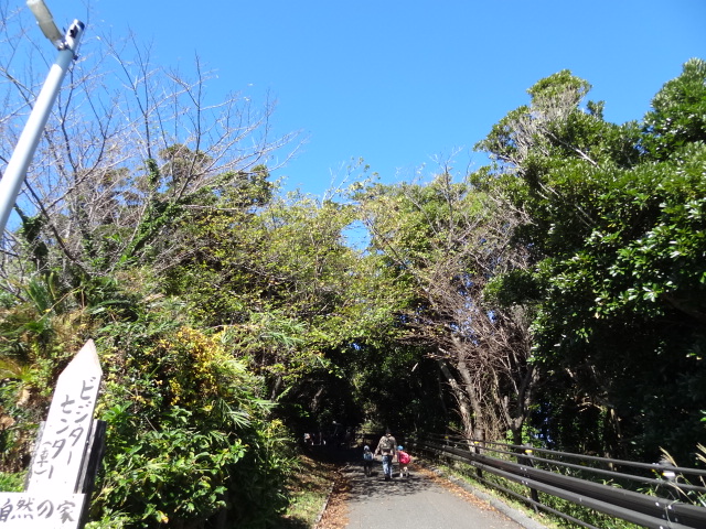 運動園地へ