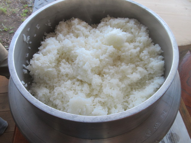 ご飯