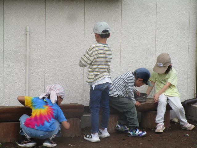 虫探し