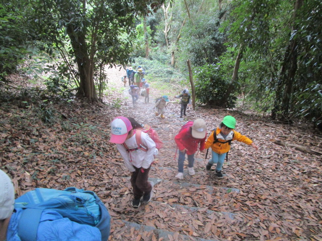 どんぐり森のその先へ