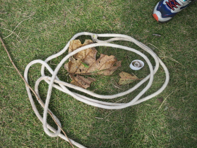 クツワムシのおうち