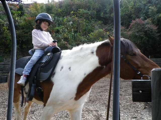 乗馬