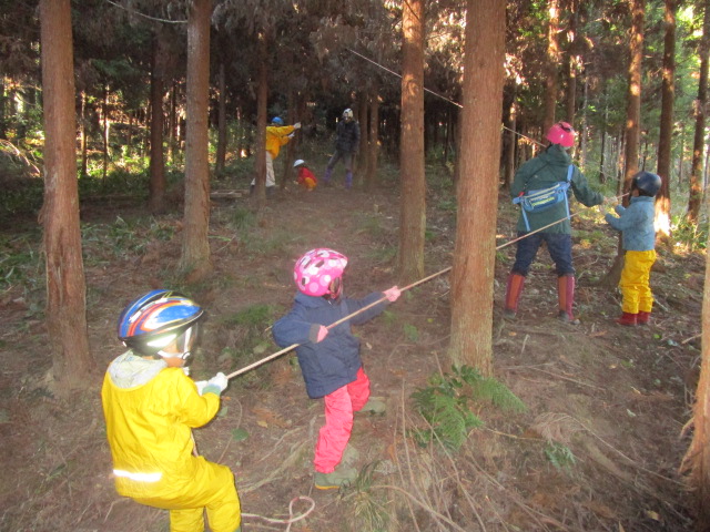 間伐体験