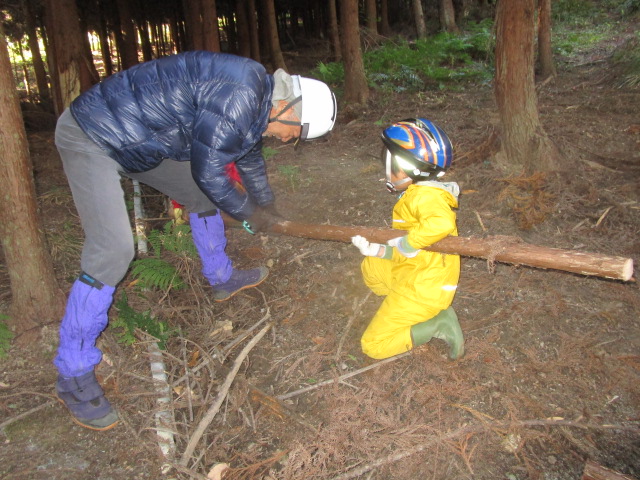 間伐体験