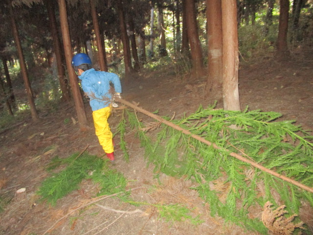 間伐体験