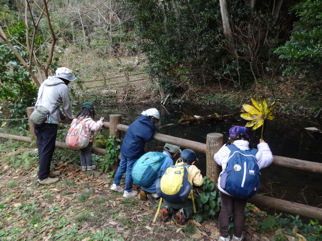 何かいるかなー