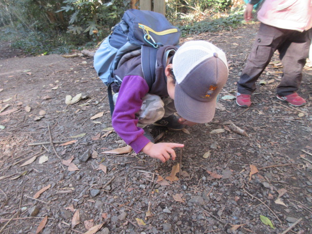 きょうはどっちに