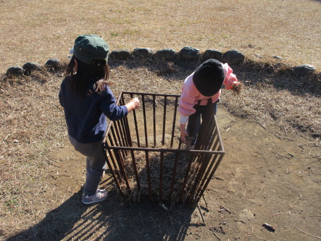 パスタ・ケーキ