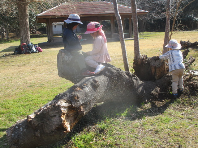 キャンピングカー