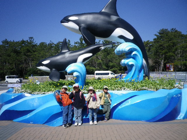 鴨川シーワールド