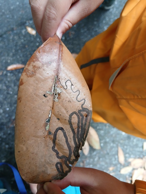 だれが書いたの？