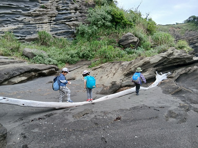 大きな蛇じゃなかったね