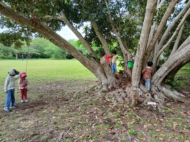 大きな木のしたで