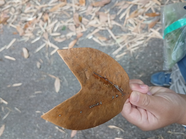 不思議なかたち