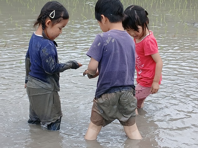 泥んこ