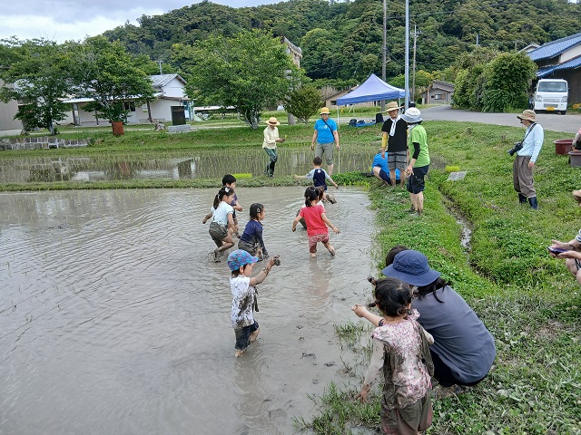 泥んこ