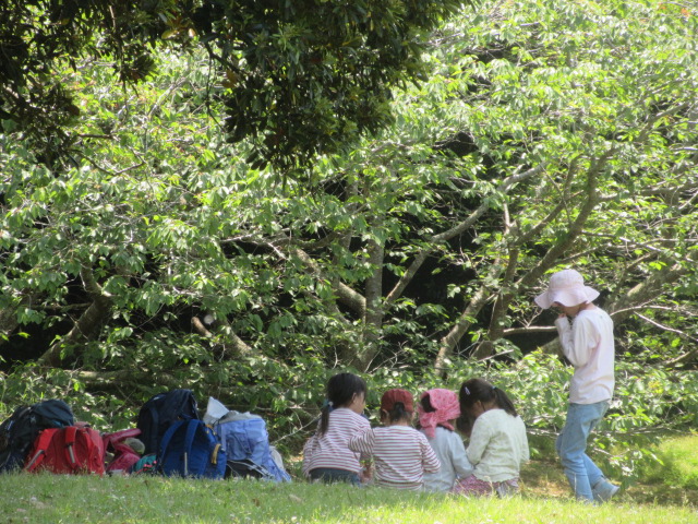 運動園地