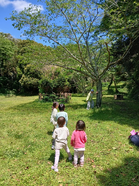 だるまさんがころんだ