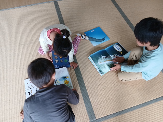 海の生き物