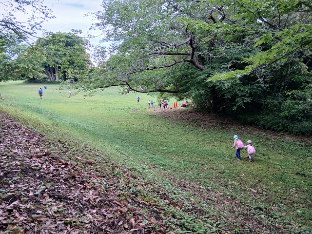 運動園地