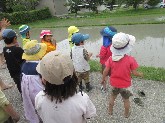おおきくなーれ。