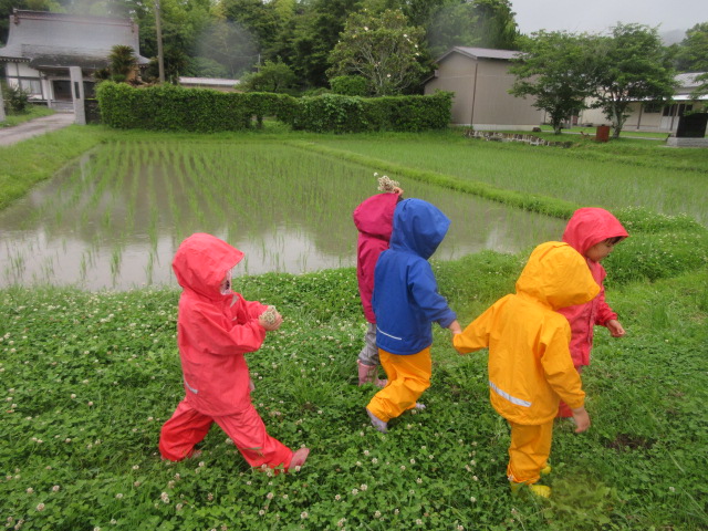田んぼ