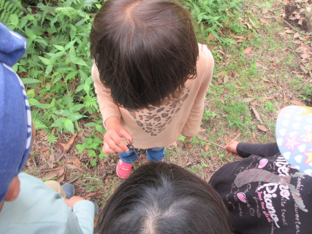 ぐるぐる階段