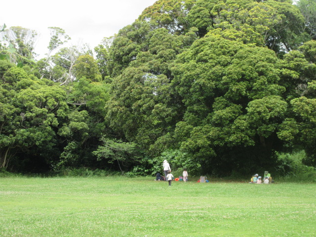 運動園地で