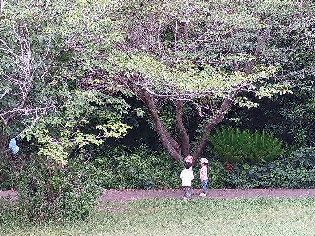 何して遊ぶ？