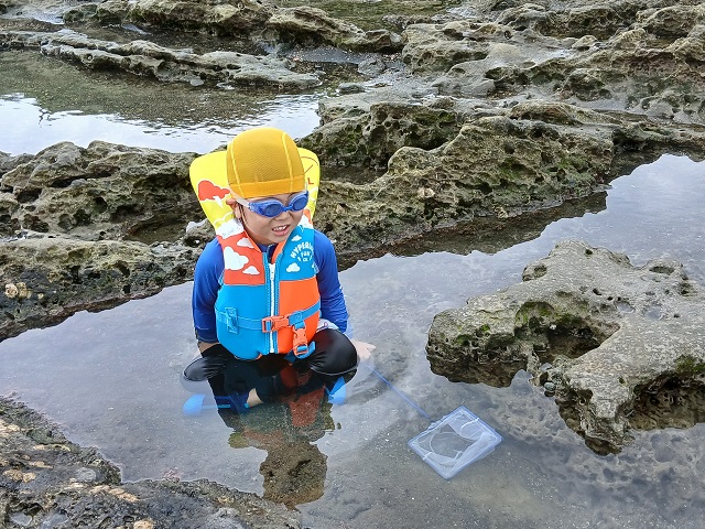沖ノ島 魚を待つ