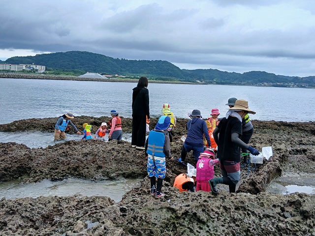沖ノ島 磯