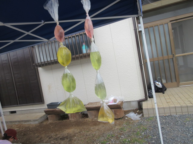 色水