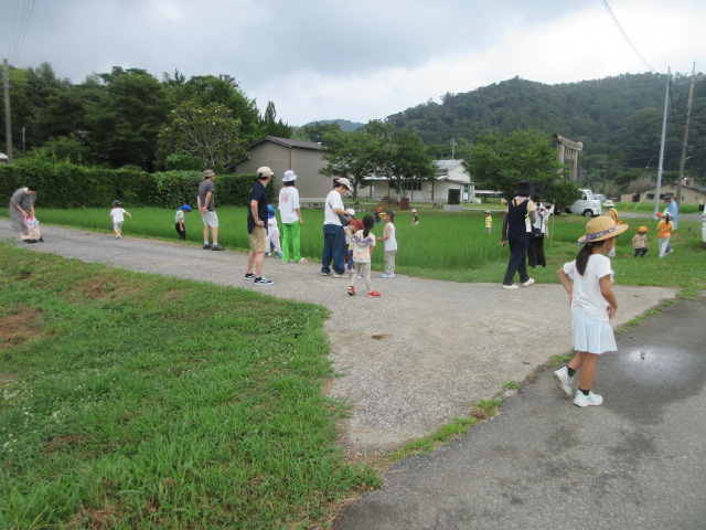 田んぼ