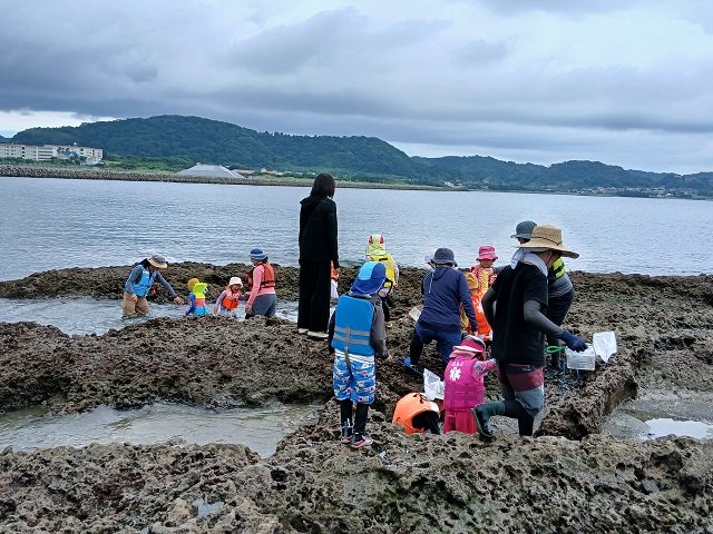 沖ノ島　磯