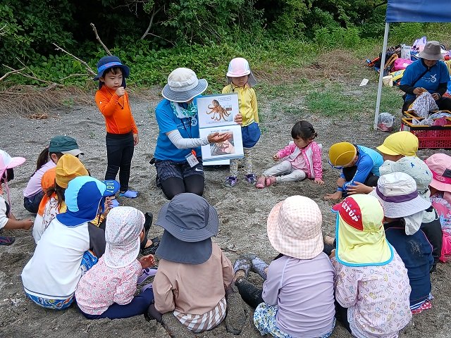 沖ノ島　危険な生き物